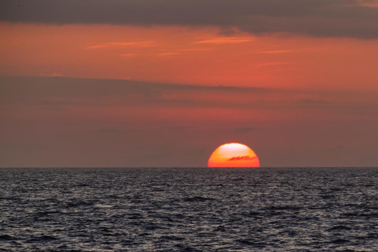 Suite Cielo, Discover The Magic Of Galapagos بويرتو بكويريزو مورينو المظهر الخارجي الصورة